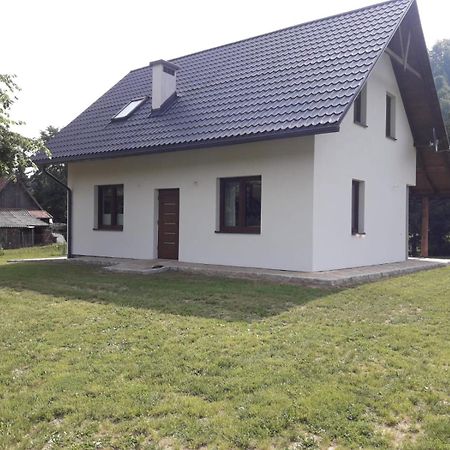 Apartament Pod Lipka Lutowiska Extérieur photo